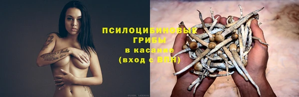 первитин Богданович