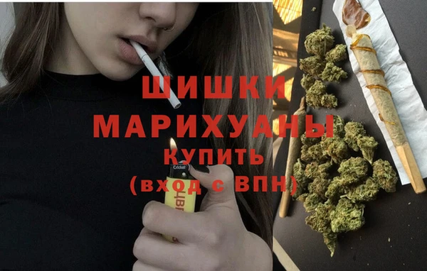 крисы Богородск