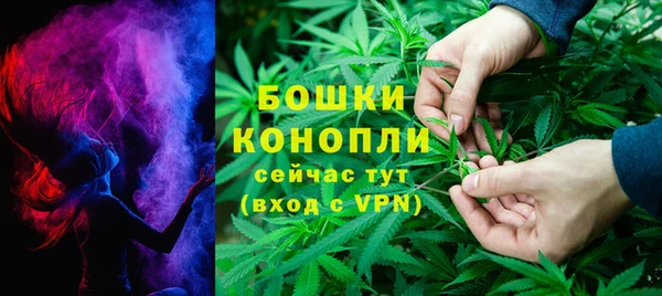 крисы Богородск