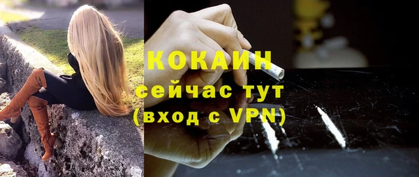 первитин Богданович