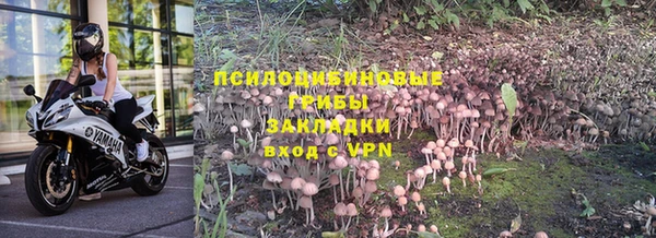 первитин Богданович